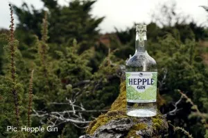 Hepple Gin