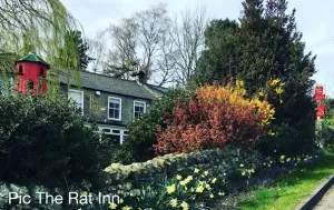 Rat Inn