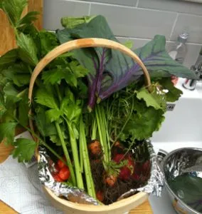 Veg