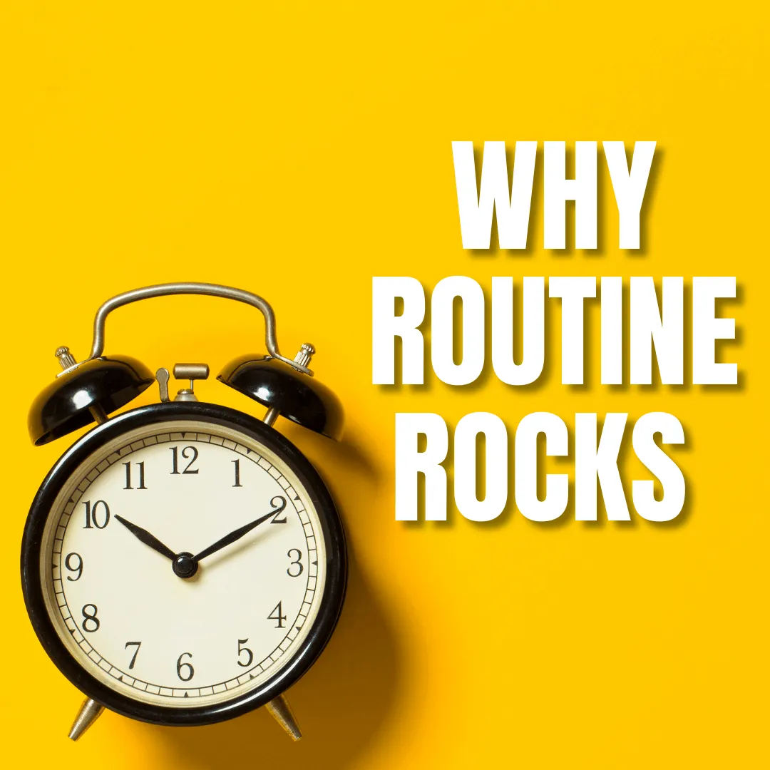 Why Routine Rocks