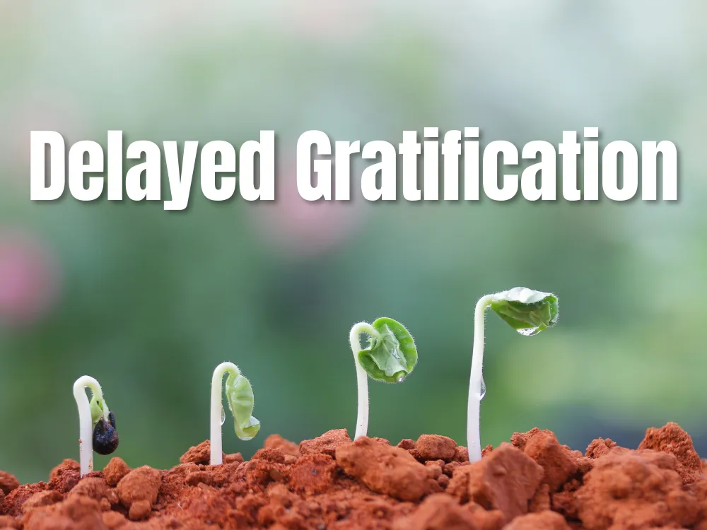 Delayed Gratification