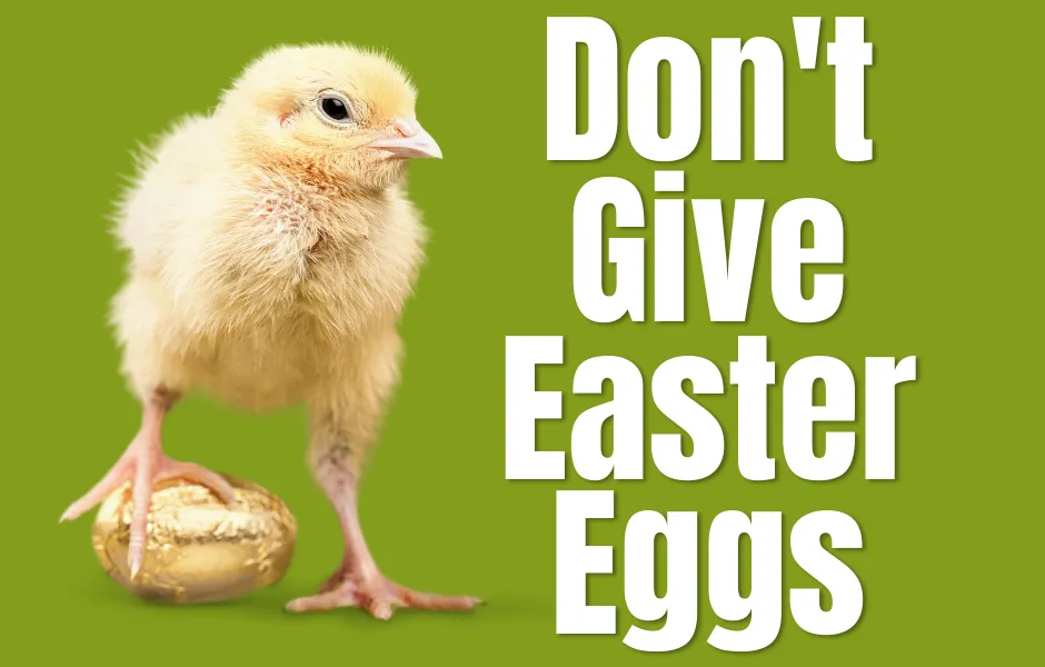 Don't Give Easter Eggs