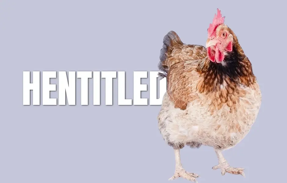 Hentitled 2