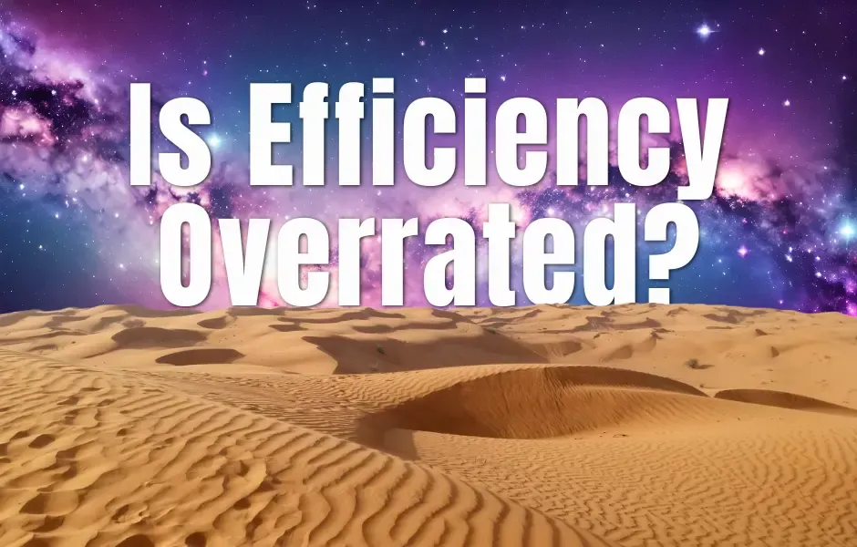 Is Efficiency Overrated?
