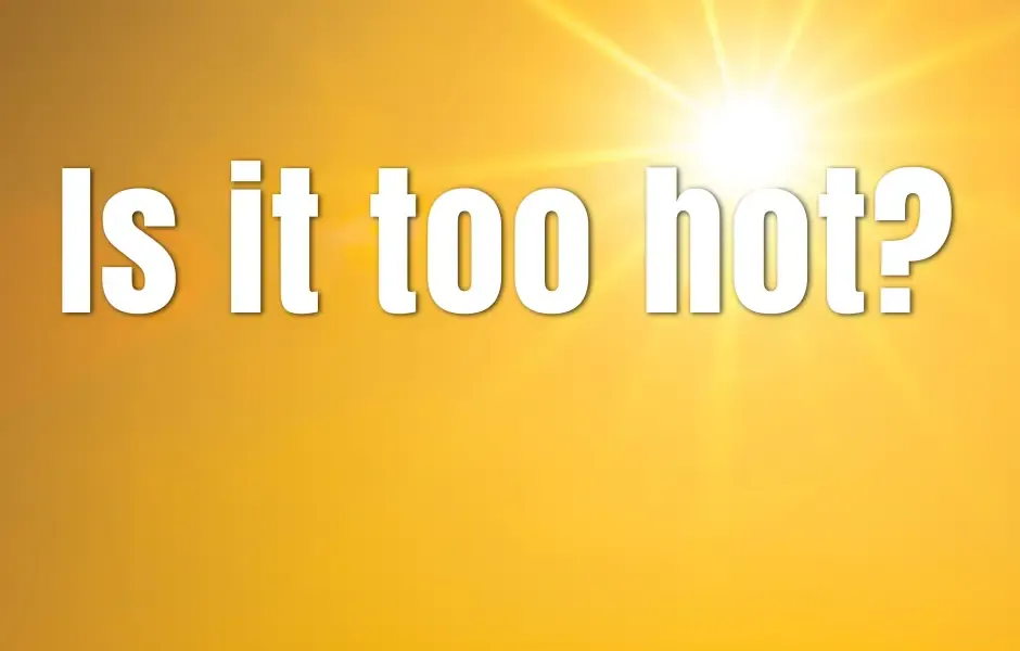 Is it too hot?
